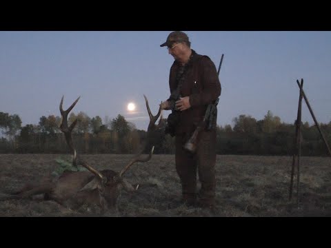 Erlegung eines Medaillenhirsches in Litauen!