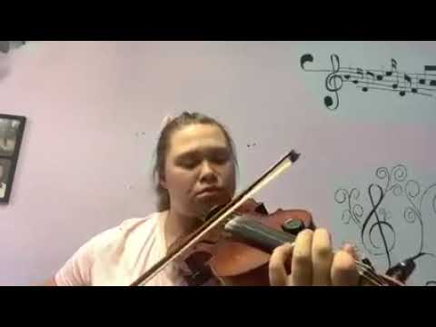 Day 208 - Compliments to Sean Maguire | Mel's 365 Days of Fiddle Tunes