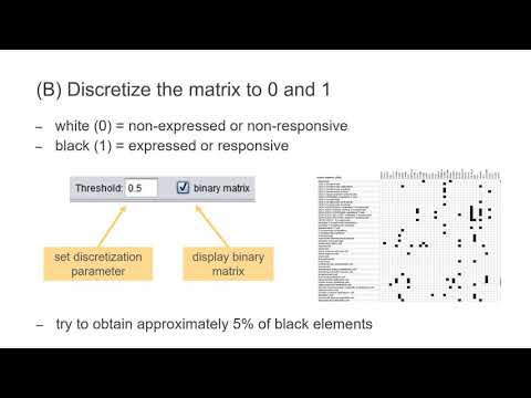 GENEVESTIGATOR® - Biclustering analysis