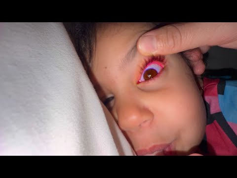 Vlog : Amira est devenue un monstre