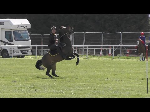 Mounted Games Ireland 2016