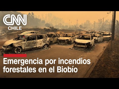 🔴 EN VIVO | INCENDIOS FORESTALES AFECTAN A LA REGIÓN DEL BIOBÍO