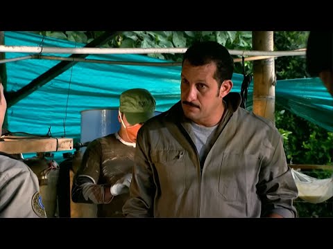 download lagu mp3 mp4 El Cartel s, download lagu El Cartel s gratis, unduh video klip El Cartel s