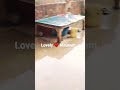 Mausam Mausam Lovely Mausam Mausam Youtubeshorts Shorts