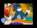 Tom Y Jerry En Latino Comida Gloriosa Comida WB Kids