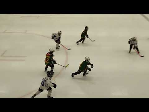 Hokkarit U8 vs Ilves2