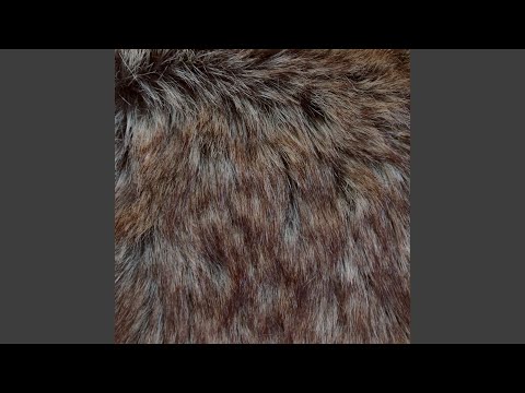 I Have a Beard And it Looks Really Good