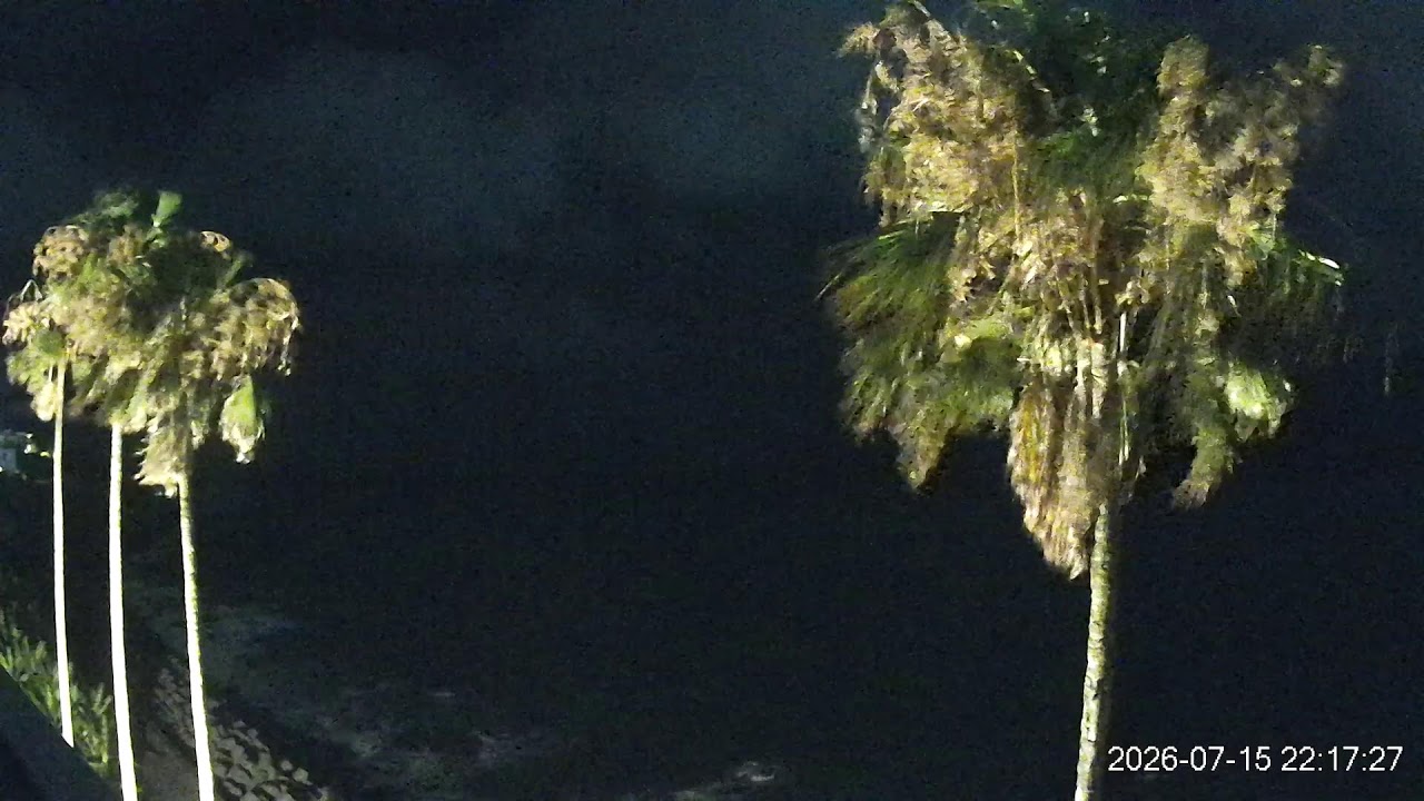 Live webcam view of Ocean Hotel Iwato Palm Coastline