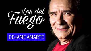 Dejame Amarte Lyrics English Translation