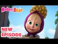 Masha And The Bear 2025 NEW EPISODE A Pineapple Of Discord Best Cartoon Collection
