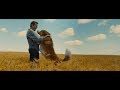 A Dog's Journey |  Official Trailer (HD)