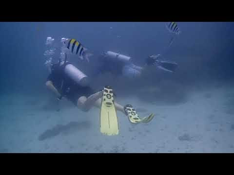 Racha Yai   The Phinisi   07 06 23