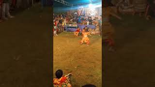 Download lagu Lincahnya Buto Gedruk Rewo-rewo Kecil Ini #Shorts mp3