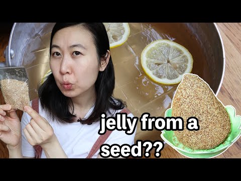 MAKE JELLY FROM A SEED?! TAIWAN "AIYU" JELLY SEED | NEW INGREDIENT