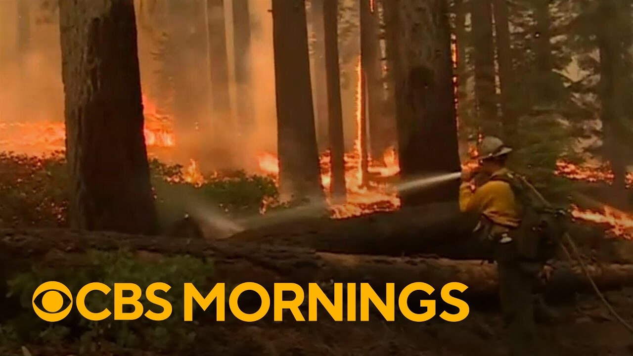 Program trains new generation of wildland firefighters as wildfire threat grows