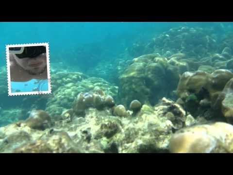 Galaxy S5: Snorkeling with Dual Camera Video Mode in Ocean (8ft) WATER TEST