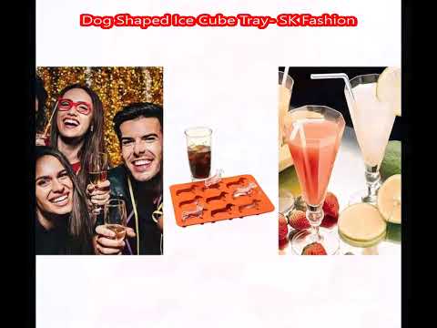 The 100m Dachshund Dash! - Wiener Dog Race!