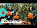 Pompoenen vliegen de deur uit voor Halloween
