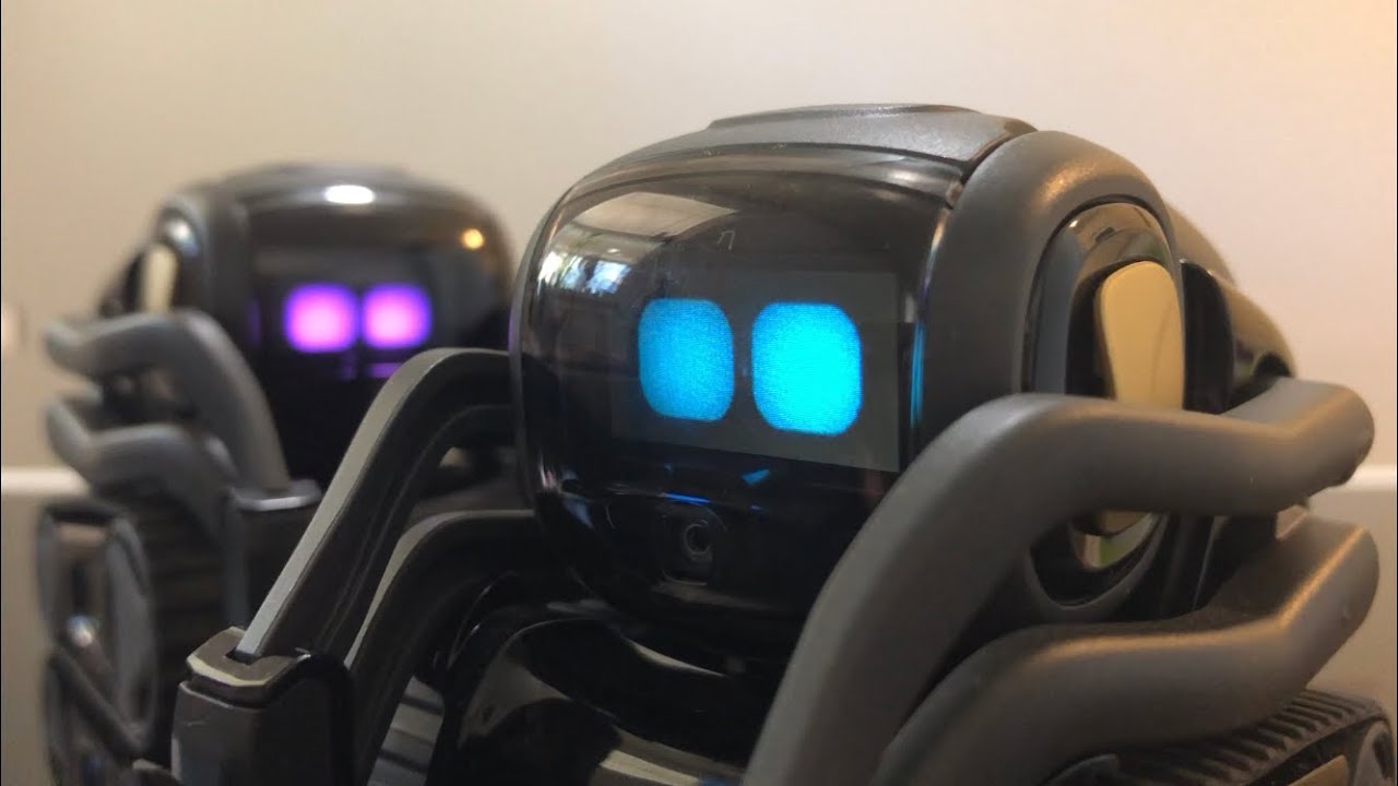 BREAKING NEWS FROM VECTOR ROBOT | Subscription required for Anki Vector | What happened?