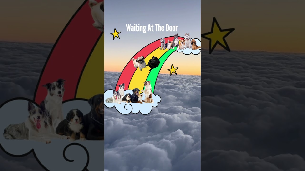 WAITING AT THE DOOR POEM