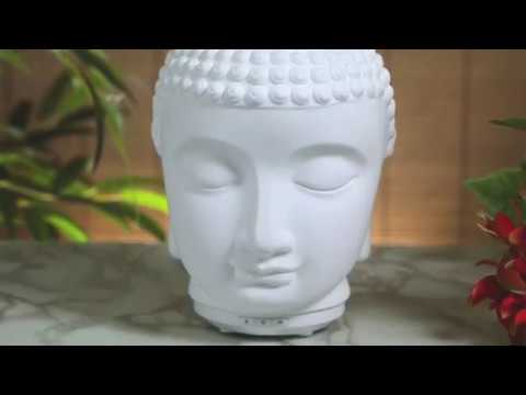 download lagu mp3 mp4 Sparoom Zen Diffuser, download lagu Sparoom Zen Diffuser gratis, unduh video klip Sparoom Zen Diffuser