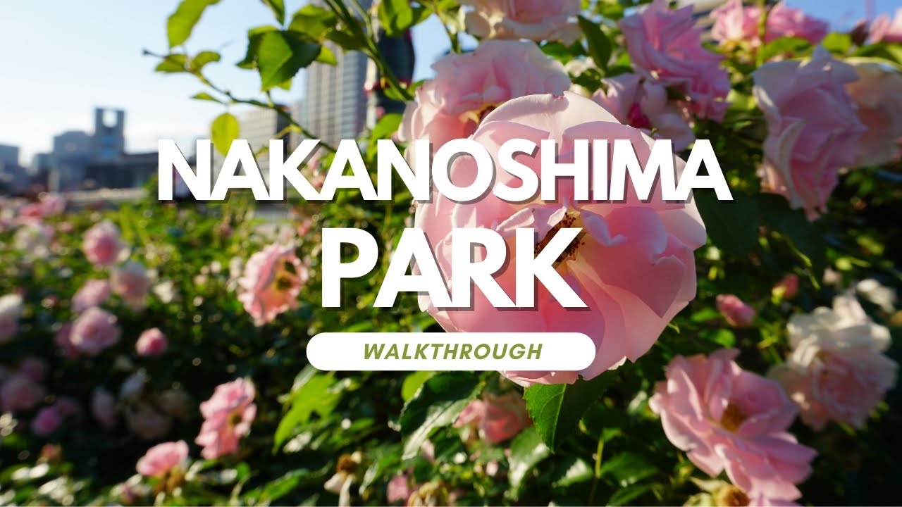 Embark on a walking tour of Nakanoshima Park!