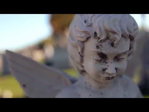 COMPLEX FUSION- LIVE 2 DIE