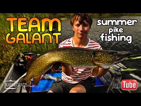 Fun Pike Fishing in the Summer | Team Galant
