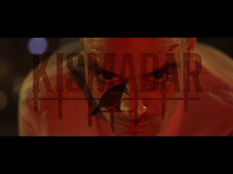 D-Fress - Kismadár (OFFICIAL MUSIC VIDEO)