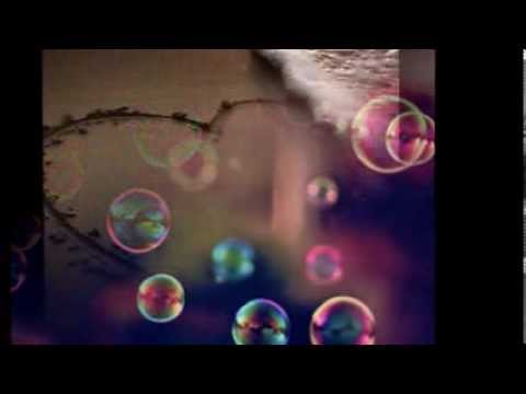 You raise me up-Die Hochzeitsstimme im Münsterland