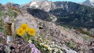 Song from Half Mountain