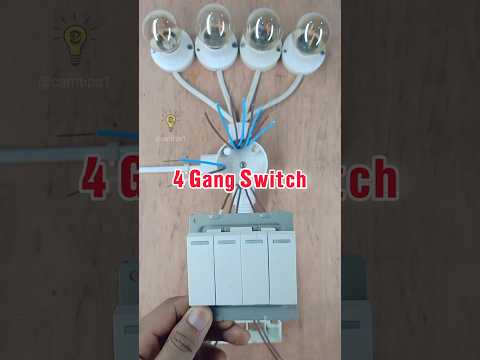 4 Gang switch Wiring #electricalwiring #diy #electrical #electrical #shorts #foryou #fyp #viral