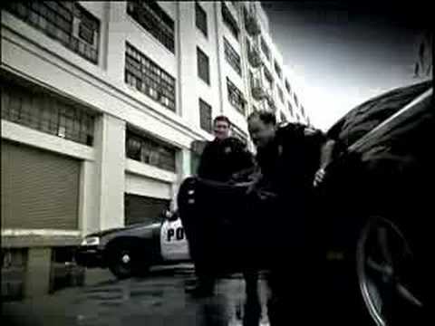 Mustang Shelby  cop video