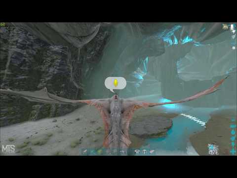 Ark | MTS Servers | Online Raiding Ceiling Base Spot