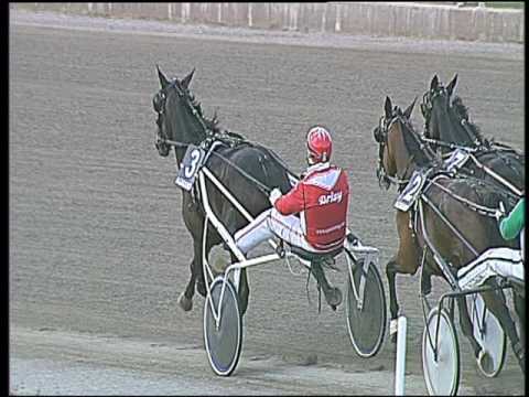 Trotto 13/05/2016 - 3° corsa