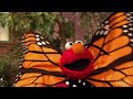 Sesame Street Season 48 Elmo S Butterfly Friend