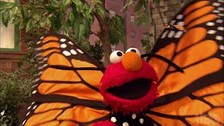 Sesame Street Season 48: Elmo&#39;s Butterfly Friend