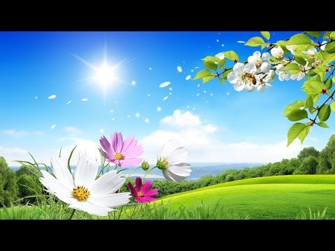 Dynjaja është si një Prostitutë (lavire) e bukur! (Prekëse)