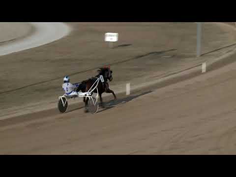 2019.02.16. 03. futam - 2019. ÉVI AMATŐR KUPA I. FUTAMA HENDIKEP