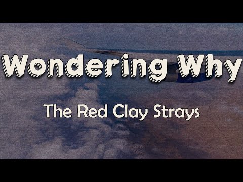 The Red Clay Strays - Wondering Why (Lyrics) | She keeps on loving me, loves me the way I am