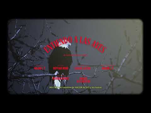 ENTIENDO A LAS AVES - RUFFIAN MOBB (Music by R. Muñoz)