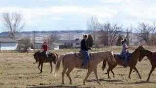 I want a Cowboy- Reba McEntire