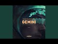 Gemini (Extended)