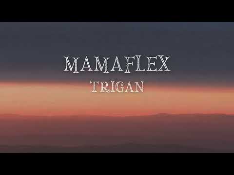 Mamaflex - Trigan feat. pickpocket (lyrics/ტექსტი)