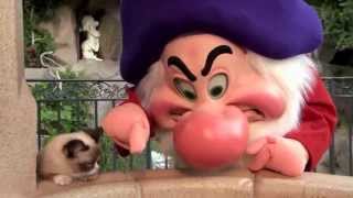 Grumpy's Dream Debased