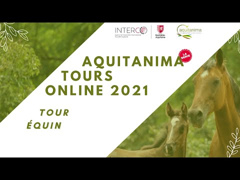 Pau racecourse: the heart of the races