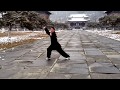 Wudang Taichi 28