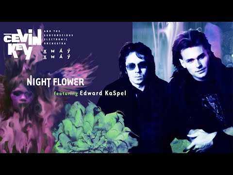 CEVIN KEY: Night Flower with Edward KaSpel - order Resonance #ARTOFFACT