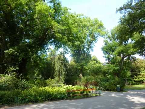 Singletraum in Grünruhelage!