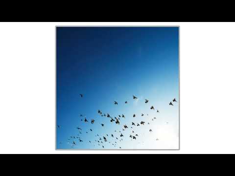 Turbulent Descent (The Bird's Eye 06)